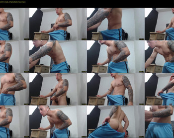 rocco_viloria