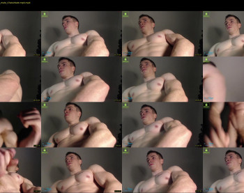 cbgainz