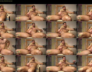 hot_bear_