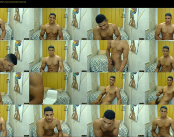 teddyfit19cm