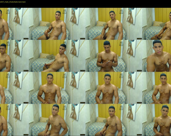 teddyfit19cm