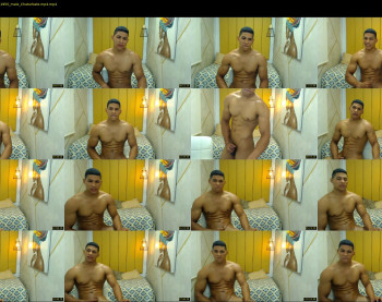 teddyfit19cm