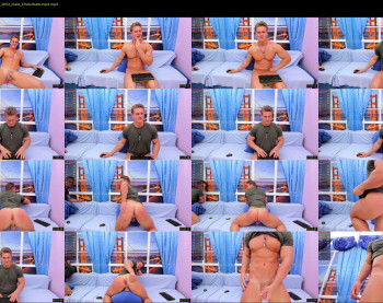 steevemuscle