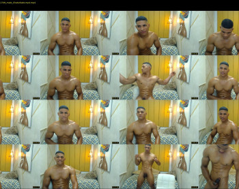 teddyfit19cm
