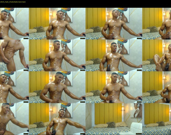 teddyfit19cm