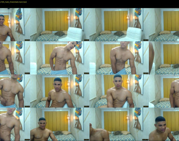 teddyfit19cm