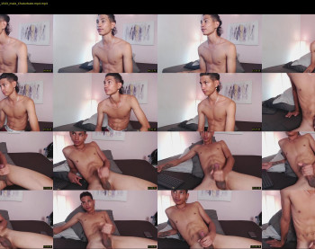 andreeribeiro