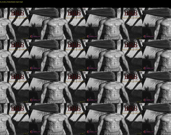 axcel_red