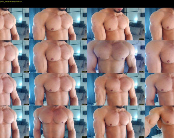 flex_x_x