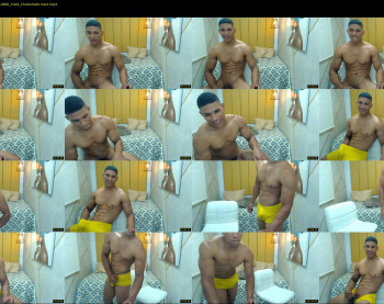 teddyfit19cm