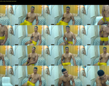 teddyfit19cm