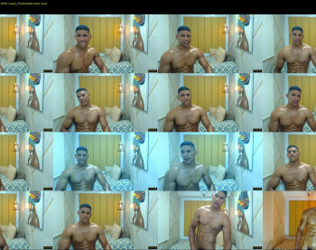 teddyfit19cm
