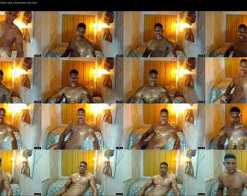 teddyfit19cm