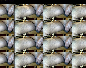 tomdickharry3