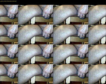 tomdickharry3
