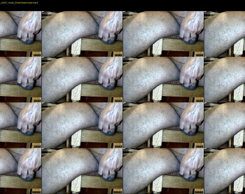 tomdickharry3
