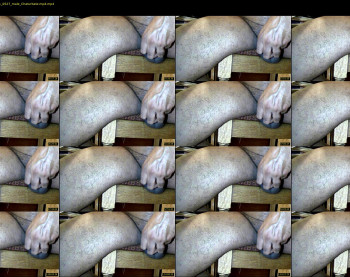 tomdickharry3