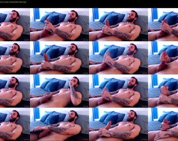 alphamatteo