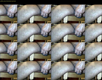 tomdickharry3