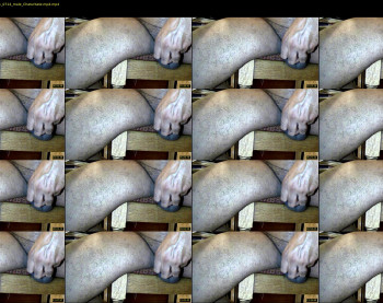 tomdickharry3