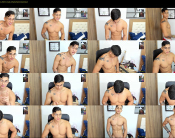 bad_bunnyxxx_