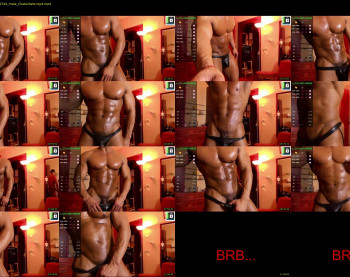 brandonhulk