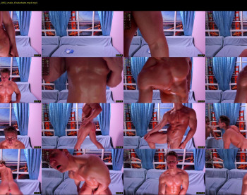 steevemuscle