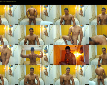 teddyfit19cm