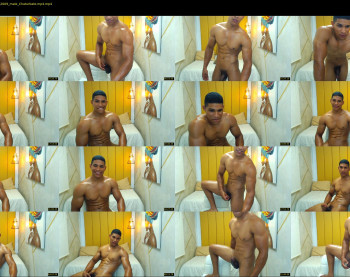 teddyfit19cm