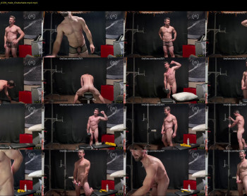 maximus_787