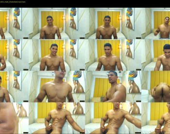 teddyfit19cm