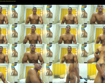 teddyfit19cm