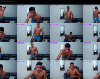 klein_fox1