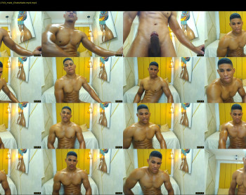 teddyfit19cm