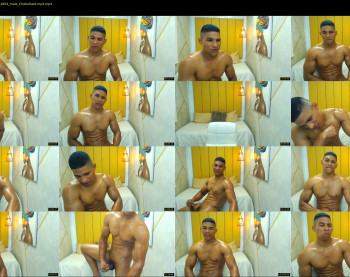 teddyfit19cm