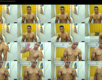 teddyfit19cm