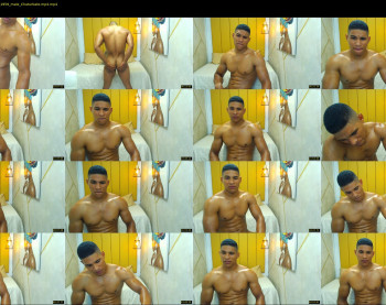 teddyfit19cm