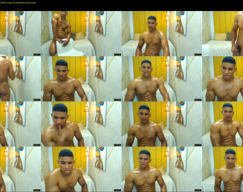 teddyfit19cm