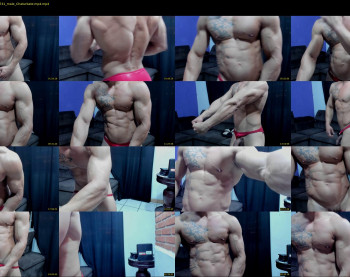 bestmuscle
