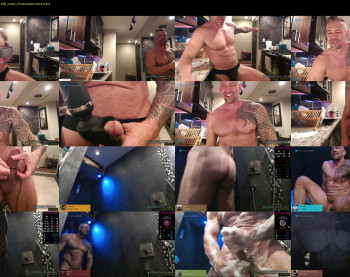 muscle_dog