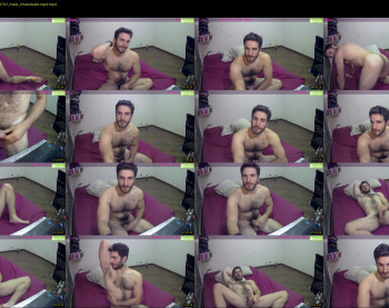 osito_blanco