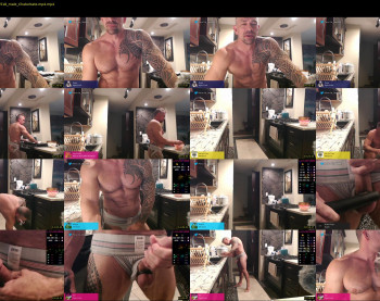 muscle_dog
