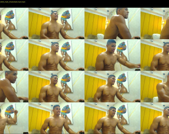 teddyfit19cm