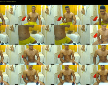 teddyfit19cm