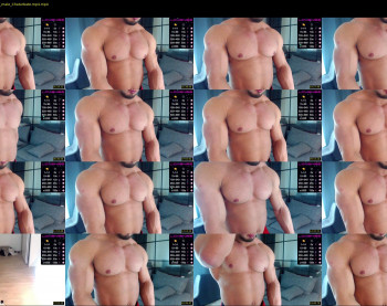 flex_x_x