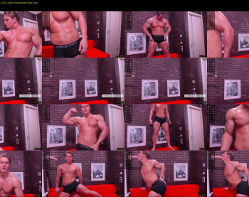 steevemuscle