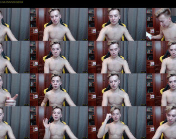alex_pov
