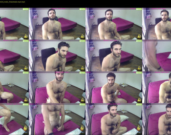 osito_blanco