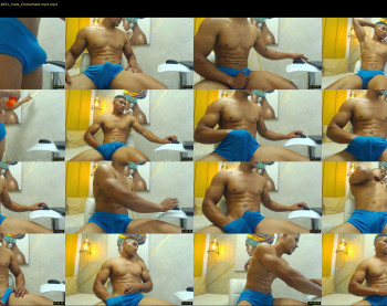 teddyfit19cm