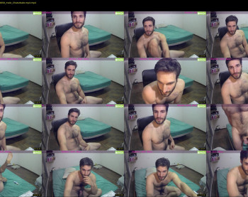 osito_blanco